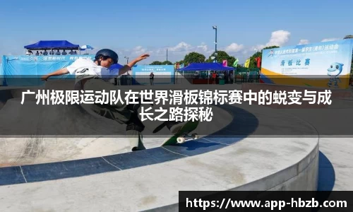 黑白体育直播高清